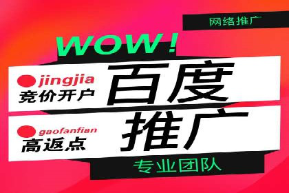 SEM推广实战：案例分析与优化